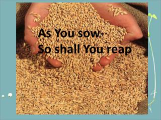 As You sow- So shall You reap