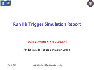 Run IIb Trigger Simulation Report