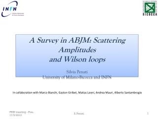 A Survey in ABJM: Scattering Amplitudes and Wilson loops Silvia Penati