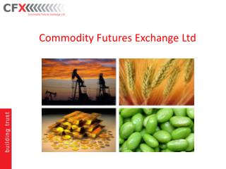 Commodity Futures Exchange Ltd