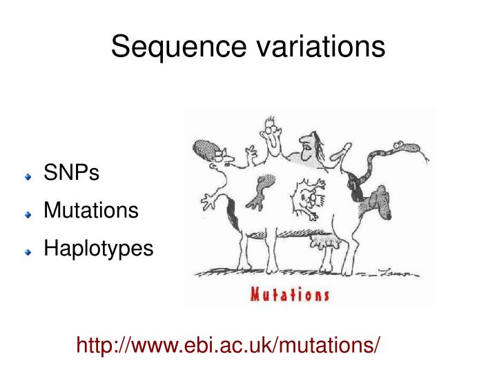 snps mutations haplotypes