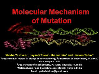 Molecular Mechanism of Mutation