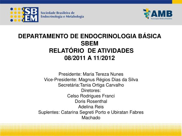 departamento de endocrinologia b sica sbem relat rio de atividades 08 2011 a 11 2012