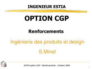 ingenieur estia option cgp