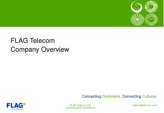 FLAG Telecom Company Overview