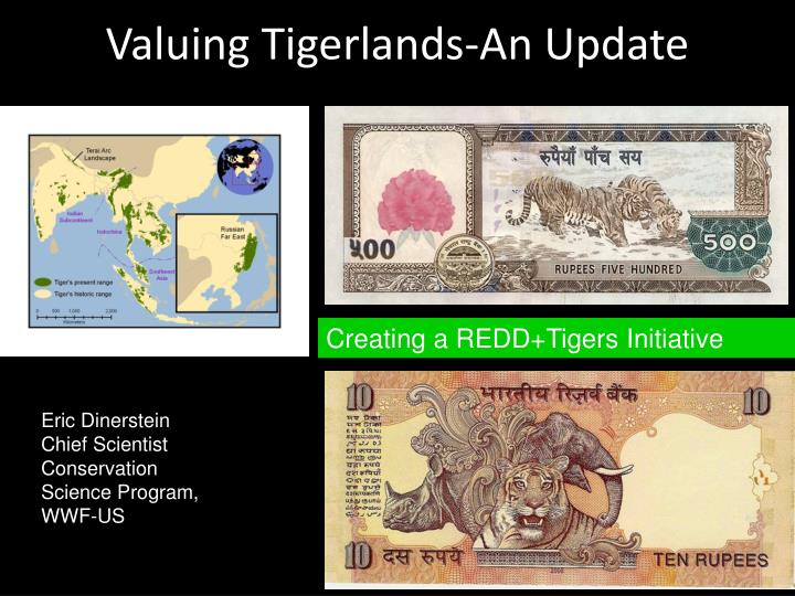 valuing tigerlands an update
