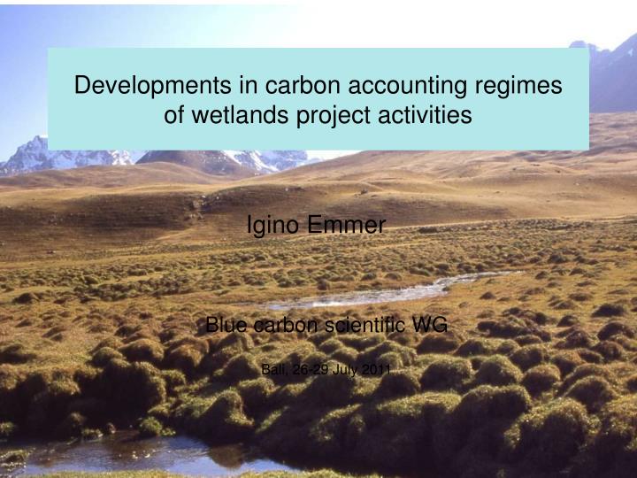 developments in carbon accounting regimes of wetlands project activities
