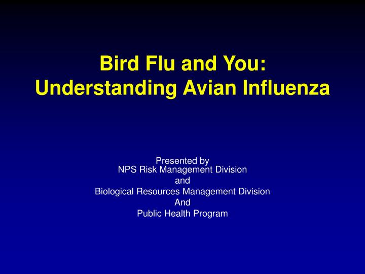 bird flu and you understanding avian influenza