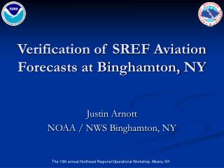 Verification of SREF Aviation Forecasts at Binghamton, NY