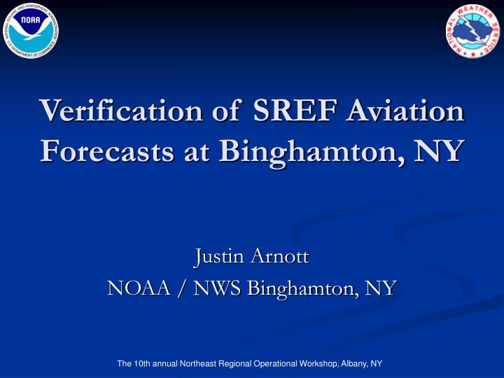 verification of sref aviation forecasts at binghamton ny