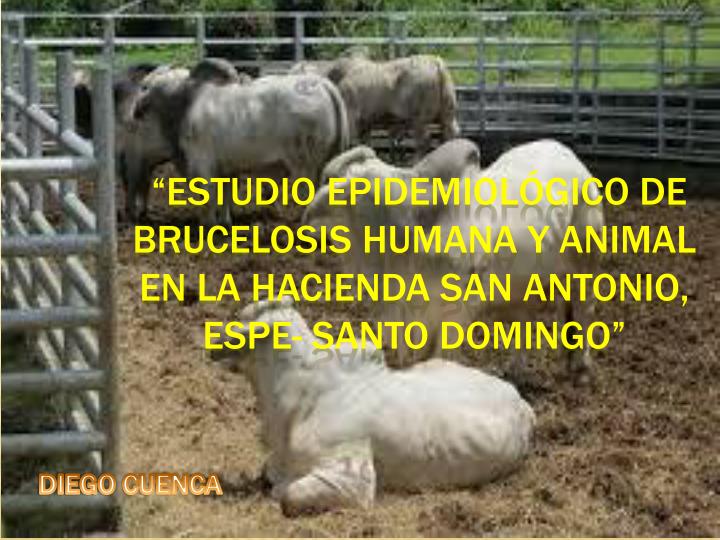 estudio epidemiol gico de brucelosis humana y animal en la hacienda san antonio espe santo domingo