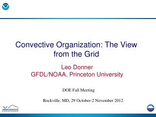 Convective Organization: The View from the Grid