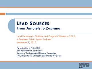 Lead Poisoning in Children and Pregnant Women in 2013: A Persistent Public Health Problem
