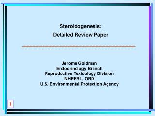 Steroidogenesis: Detailed Review Paper