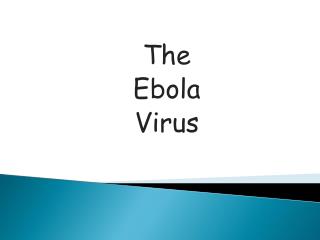 The Ebola Virus