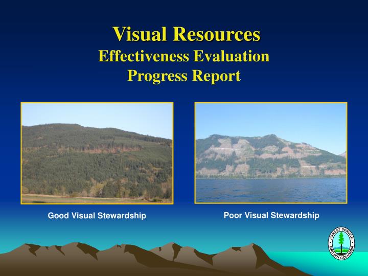 visual resources effectiveness evaluation progress report
