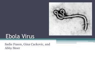 ebola virus