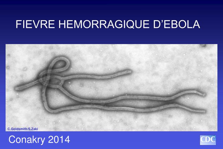 fievre hemorragique d ebola