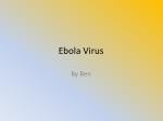 Ebola Virus - slide 1