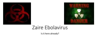 Zaire Ebolavirus