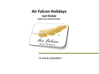 Air Falcon Holidays Just Dubai (Dubai Tour Details &amp; Rates)