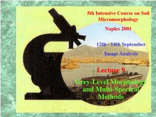 5th Intensive Course on Soil Micromorphology Naples 2001