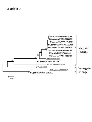 Victoria lineage