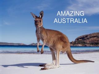 AMAZING AUSTRALIA