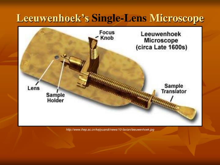 leeuwenhoek s single lens m icroscope