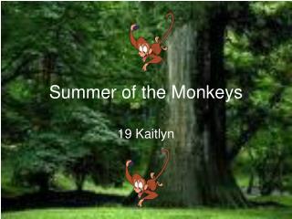 Summer of the Monkeys