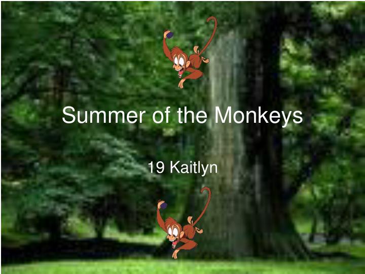 summer of the monkeys