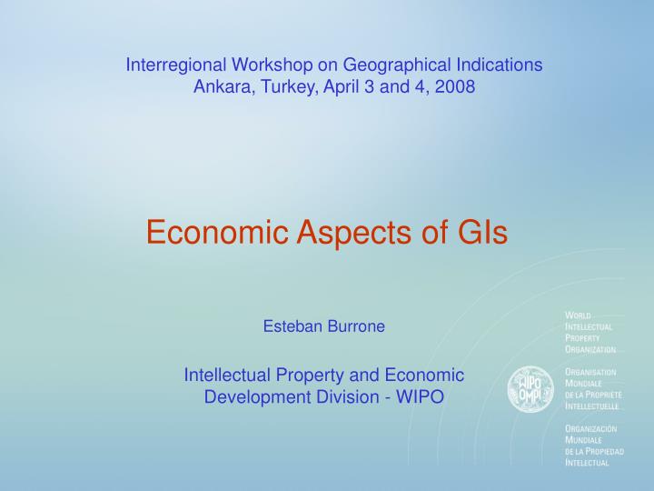economic aspects of gis