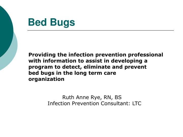 bed bugs