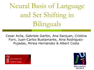 Neural Basis of Language and Set Shifting in Bilinguals