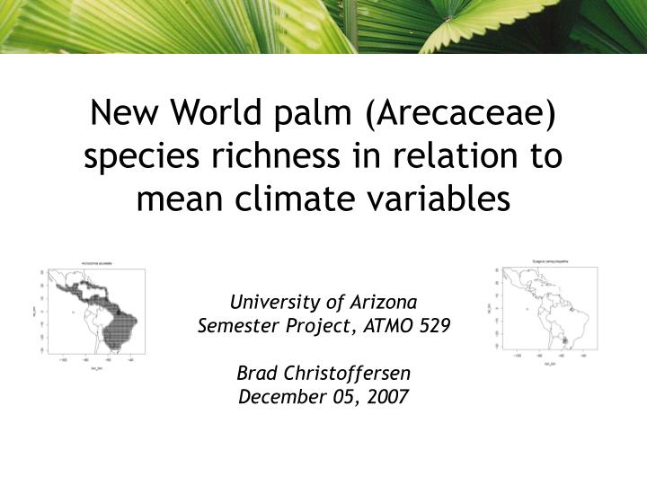 new world palm arecaceae species richness in relation to mean climate variables