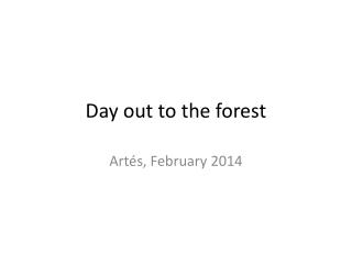 day out to the forest