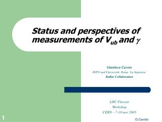 Status and perspectives of measurements of V ub and g