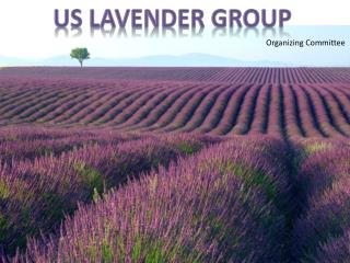 US Lavender Group