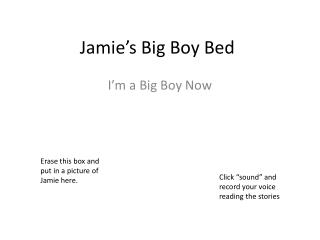Jamie’s Big Boy Bed