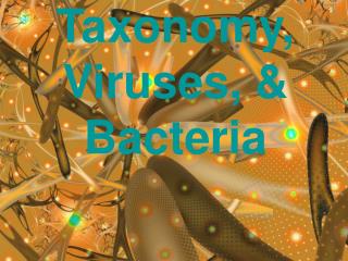 Taxonomy, Viruses, &amp; Bacteria