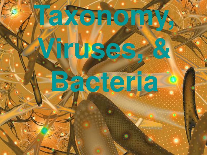 taxonomy viruses bacteria