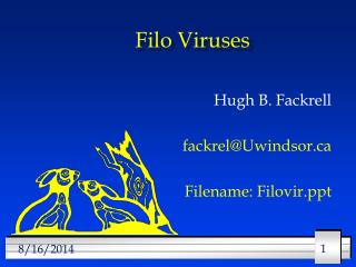 Filo Viruses