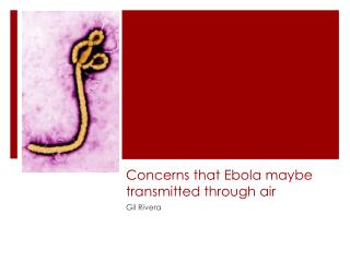 Concerns that Ebola maybe transmitted through air