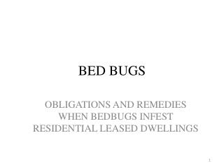 BED BUGS