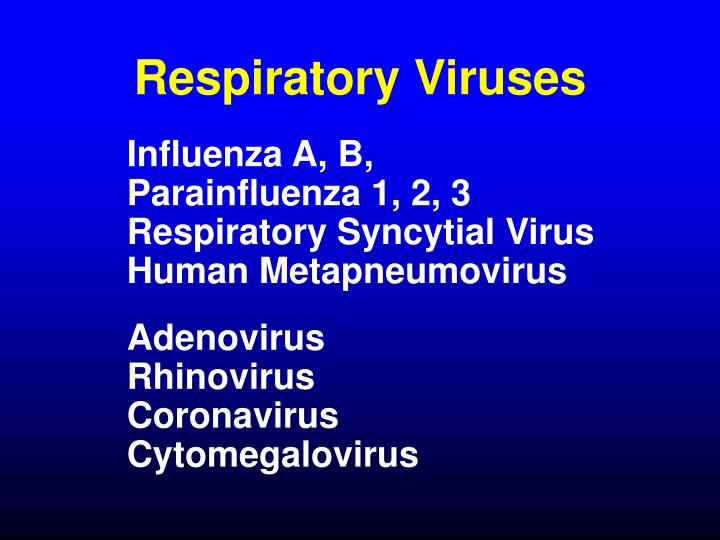 respiratory viruses