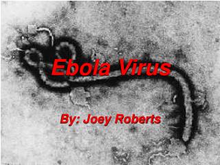 Ebola Virus