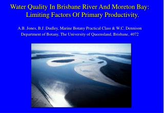 Water Quality In Brisbane River And Moreton Bay: Limiting Factors Of Primary Productivity.