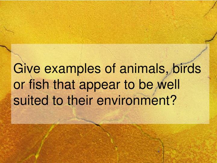 give examples of animals birds or fish that appear to be well suited to their environment