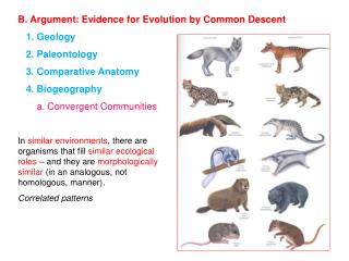B. Argument: Evidence for Evolution by Common Descent 1. Geology 2. Paleontology
