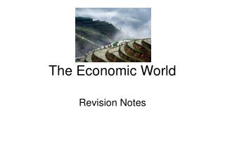 The Economic World